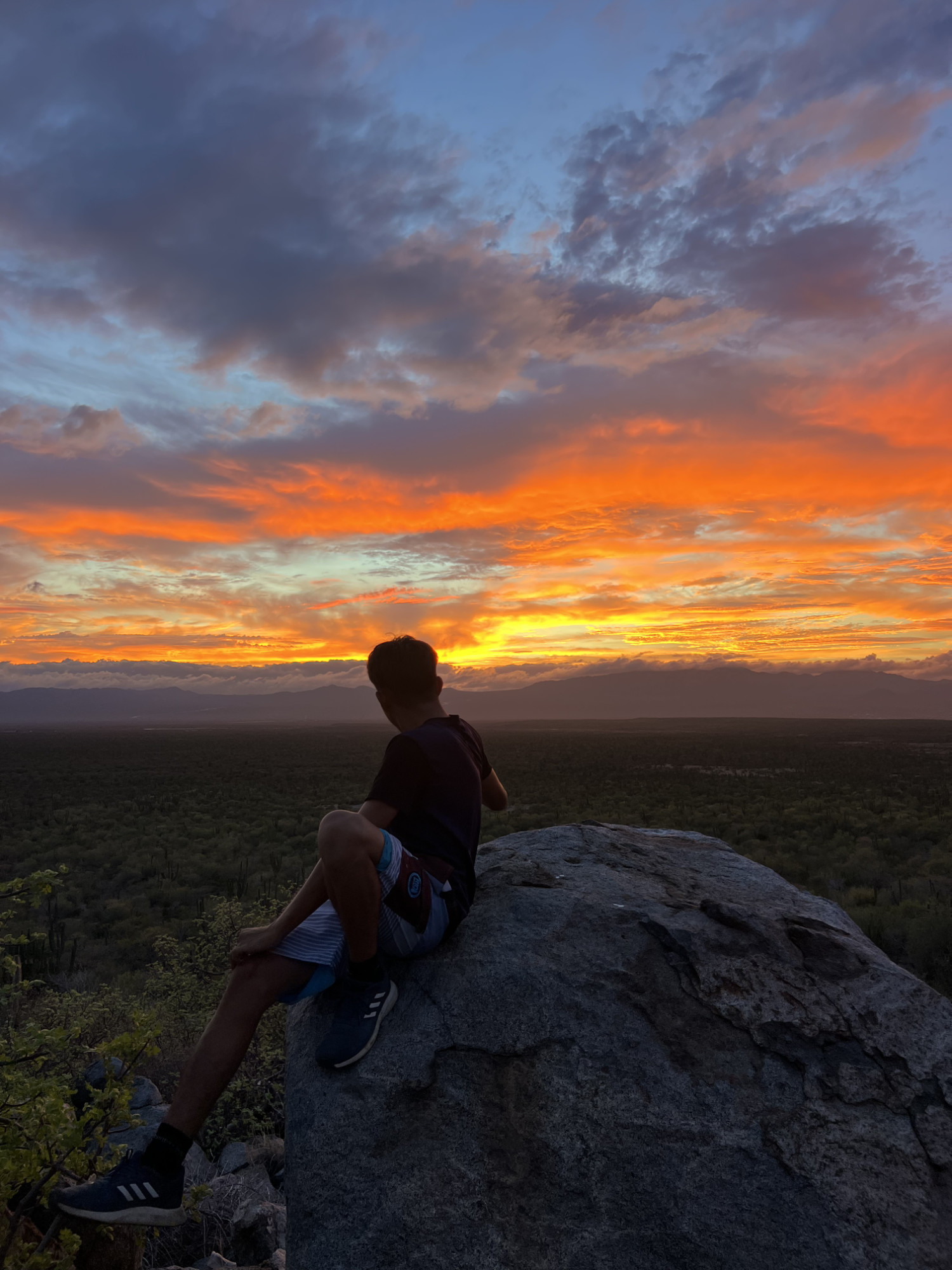 EXPEDICION OCEANO - DESIERTO