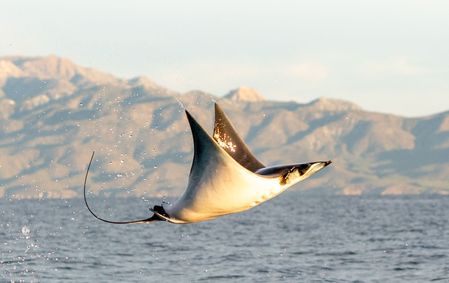 EXPLORACION OCEANICA